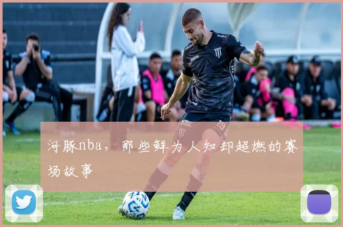 河豚nba，那些鲜为人知却超燃的赛场故事