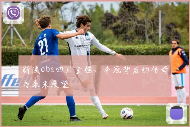 新浪cba四川金强,夺冠背后的传奇与未来展望